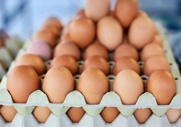 Storage Many Eggs Paper Box — Stock Photo, Image