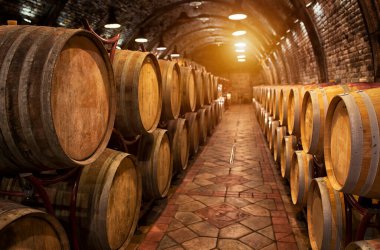 Şarap mahzenlerinde şarap fıçıları var.