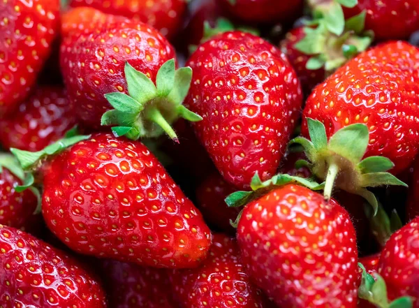 Olgun kırmızı çilek. Çilek arkaplanı. Tepeden çilekli.