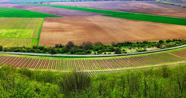Piękna Panorama Drona Widok Krajobrazu Rolniczego — Zdjęcie stockowe