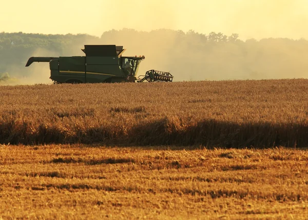 Harvester machine harvest cereal wheat — Stock Photo, Image