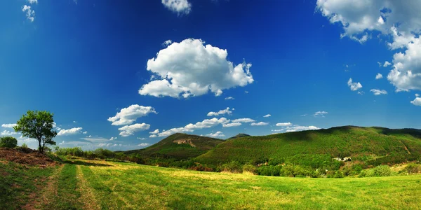 Panorama paisagem com campo verde, colinas e céu nublado — Fotografia de Stock