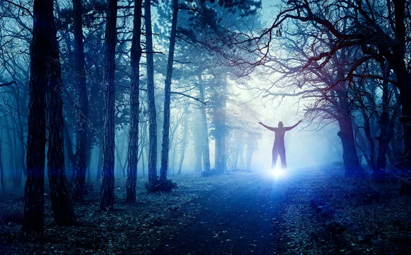 Ghost in forest — Stock Photo, Image