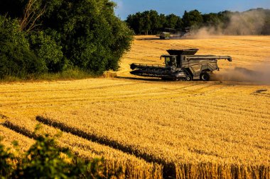 Hasat makinesi hasat tahıl buğday