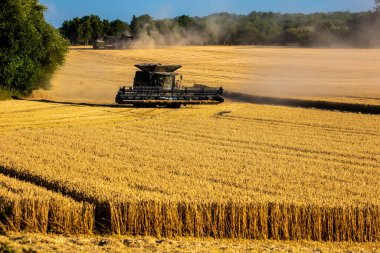 Hasat makinesi hasat tahıl buğday