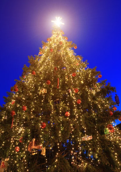 Christmas tree outdoor at blue sky — Stock Photo, Image