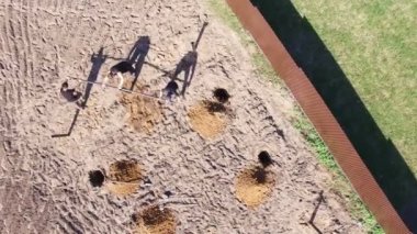 Kazık yeni bir ev inşa işçi