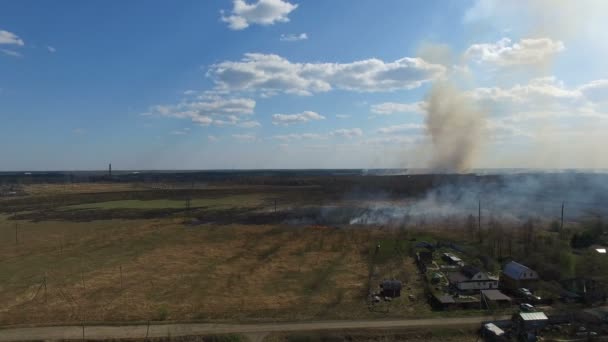 Membakar rumput di dekat desa — Stok Video