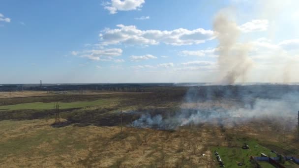 Vypalování trávy blízko vesnice — Stock video