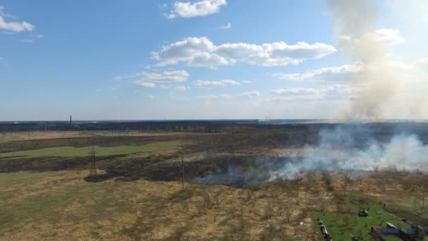 Herbe brûlante près du village 