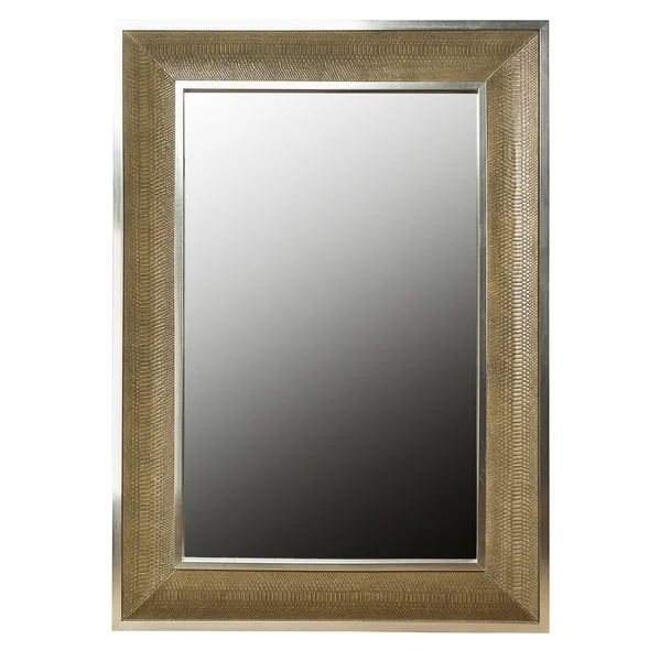 Mirror or Empty picture frame — Stock Photo, Image