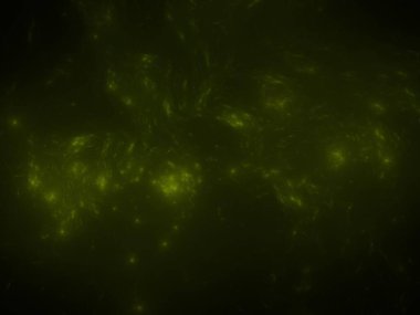 Resimsel fraktal arkaplan oluşturuldu