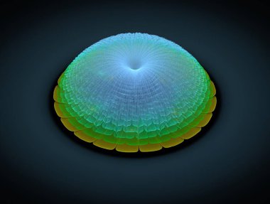 Resimsel fraktal arkaplan oluşturuldu