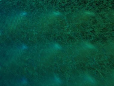 Resimsel fraktal arkaplan oluşturuldu