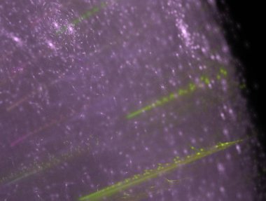 Resimsel fraktal arkaplan oluşturuldu