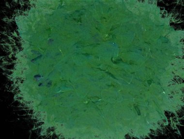 Resimsel fraktal arkaplan oluşturuldu