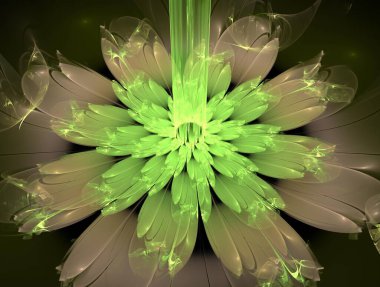 Resimsel fraktal arkaplan oluşturuldu