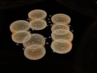 Resimsel fraktal arkaplan oluşturuldu