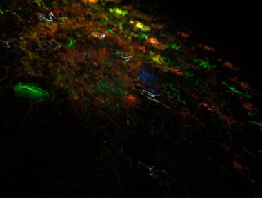 Resimsel fraktal arkaplan özeti