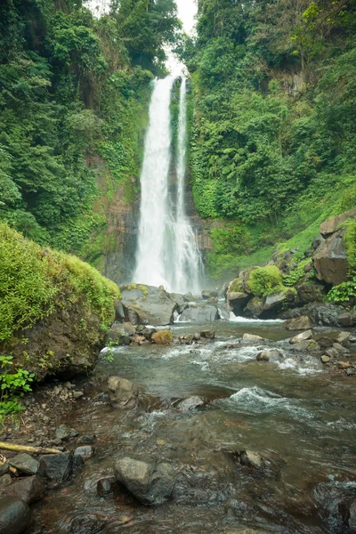 Vodopád v bali jungle — Stock fotografie