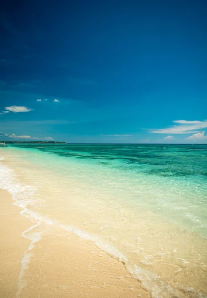 Playa tropical — Foto de Stock