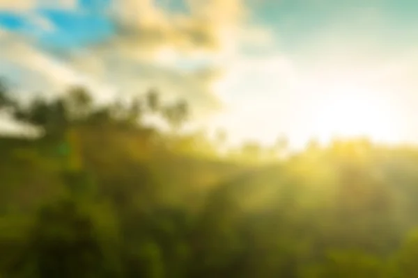 Nature blur background Sunrise over jungle — Stock Photo, Image