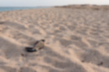 kumları ayakkabı yıpranmış eski