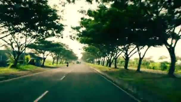 在巴厘岛的海边的路 — 图库视频影像