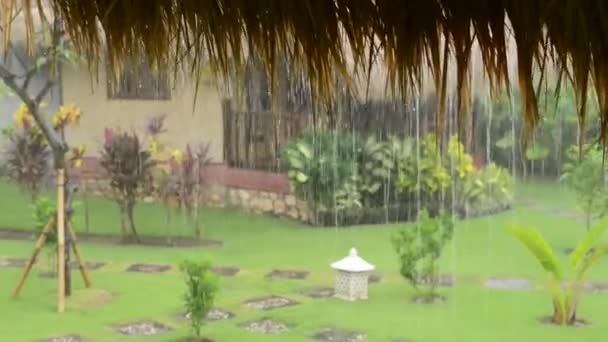 Fuertes lluvias tropicales — Vídeo de stock