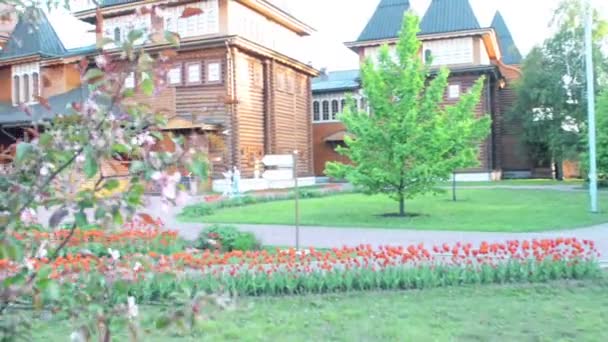 Полномасштабная реконструкция деревянного дворца в Коломенском — стоковое видео
