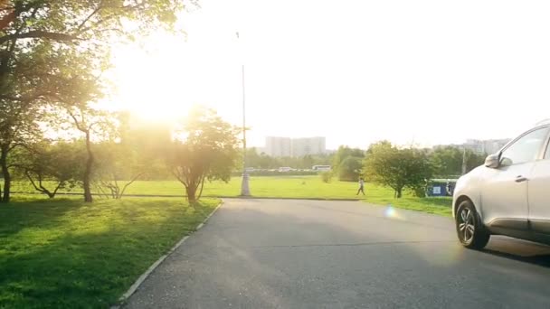Ηλιοφάνεια σε όμορφο πάρκο — Αρχείο Βίντεο