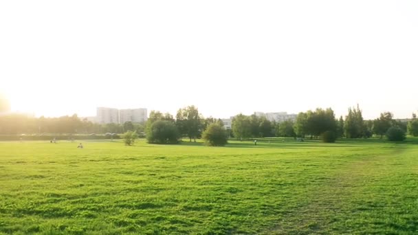 Sunshine in beautiful park — Stock Video