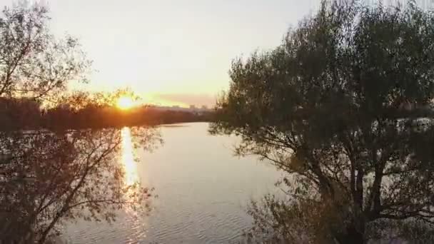 Flygande över floden vid solnedgången — Stockvideo