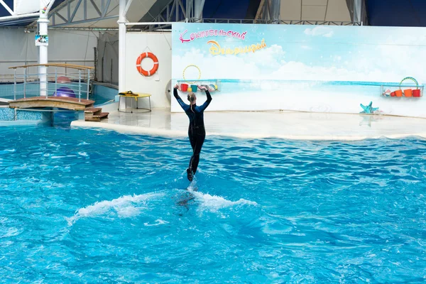 Koktebel Вересня 2013 Dolphin Show Scene Грайливі Дельфіни Виконують Трюки — стокове фото