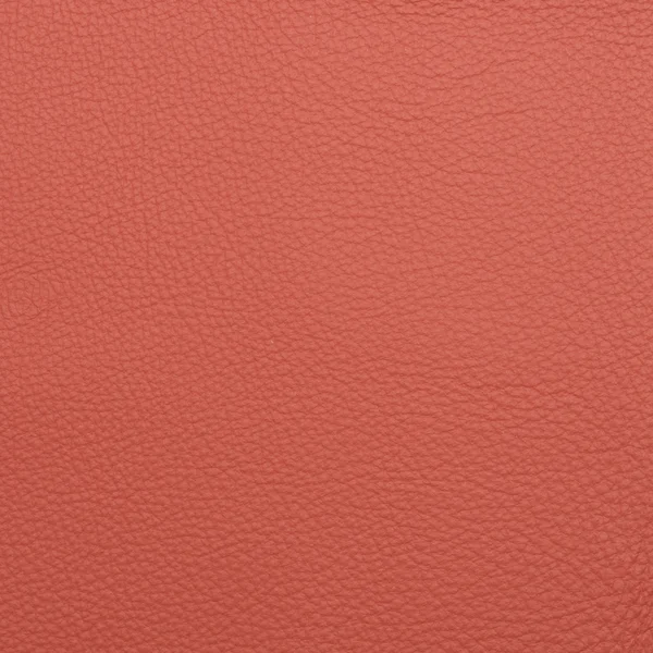 Leather macro shot — Stock Photo, Image