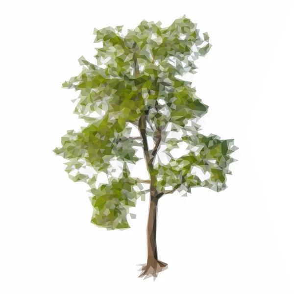 Vector green tree isolated — Stock Vector