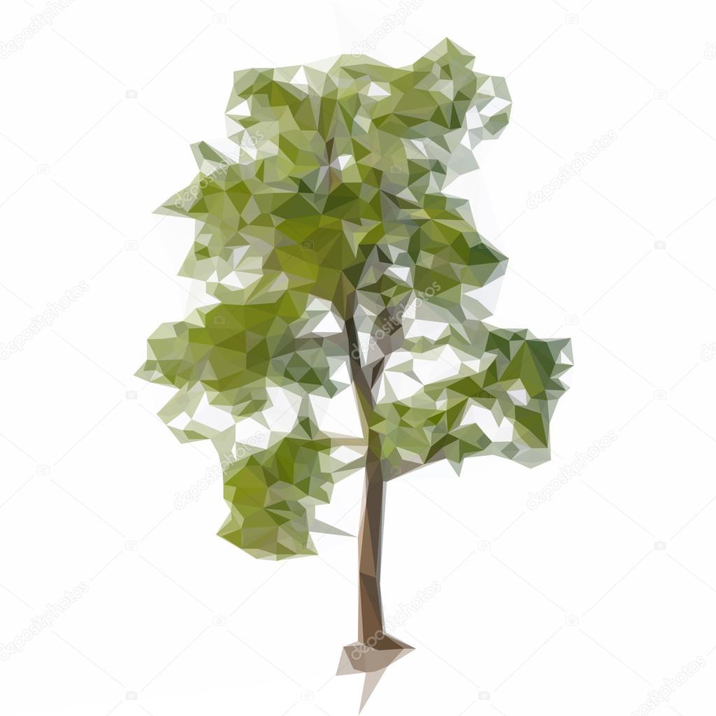 Vector green tree isolated