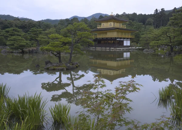 Padiglione d'oro di Kyoto tempio Immagini Stock Royalty Free
