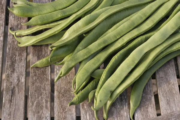 Frische Bohnen — Stockfoto