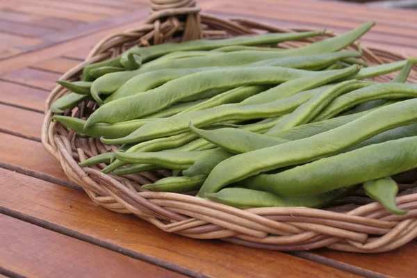 Fresh runner beans Stock Image