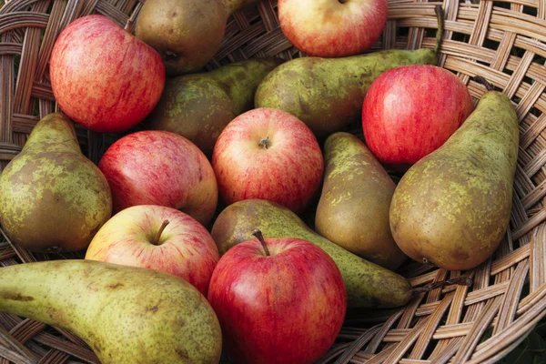 Mixed fruit on basket outdoors — Stock Photo, Image