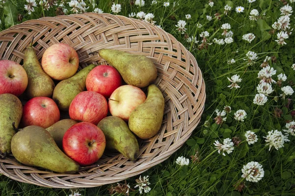 Frutta mista su cesto all'aperto — Foto Stock