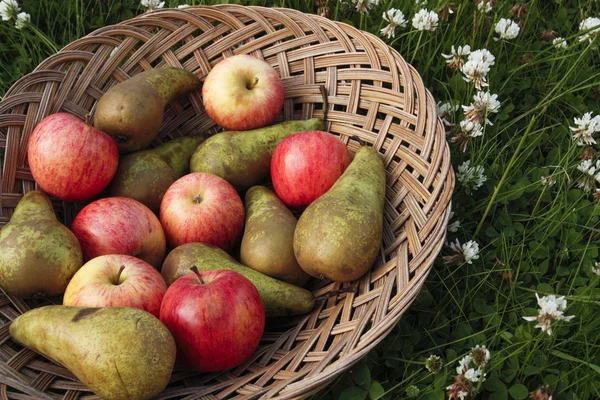 Frutta mista su cesto all'aperto — Foto Stock