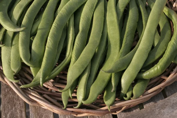 Färska runner bönor — Stockfoto