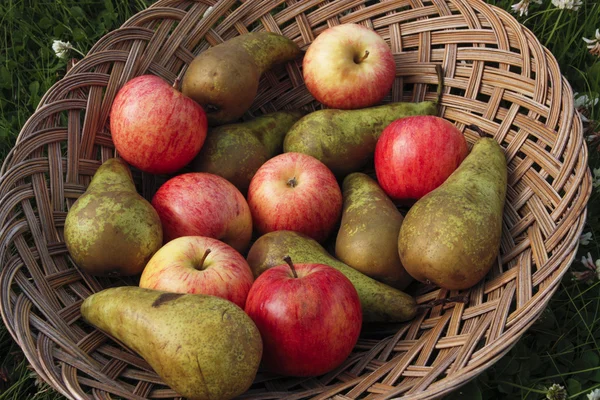 Mixed fruit on basket outdoors — Stock Photo, Image