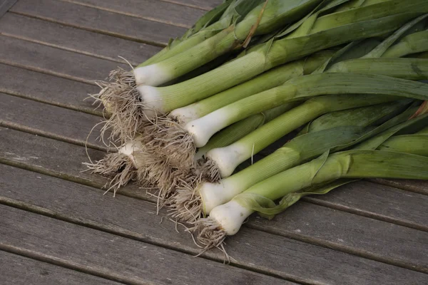 Fresh ripe leeks — Stock Photo, Image