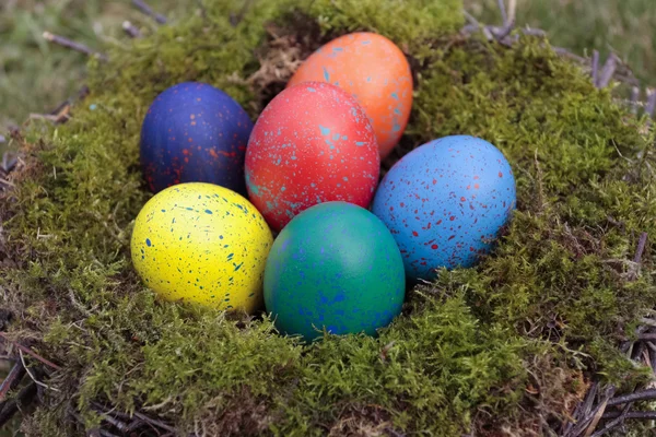 Decorazioni pasquali sul nido — Foto Stock