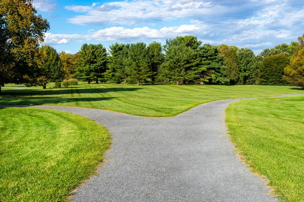 Sentiero a piedi diviso in un parco con erba e alberi — Foto Stock