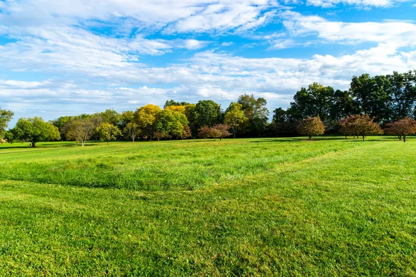 Una Grande Area Erbosa Trova Vicino Una Fila Alberi Una — Foto Stock