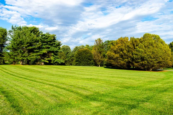 Groot grasveld en bomen in een park Rechtenvrije Stockafbeeldingen